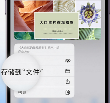 左云apple维修中心分享iPhone文件应用中存储和找到下载文件