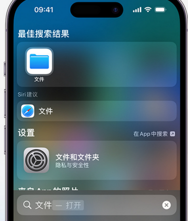 左云apple维修中心分享iPhone文件应用中存储和找到下载文件