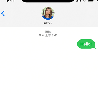 左云apple维修iPhone上无法正常发送iMessage信息