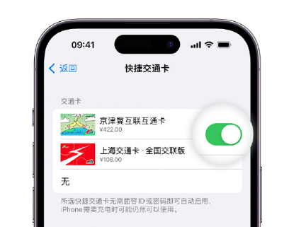 左云apple维修点分享iPhone上更换Apple Pay快捷交通卡手绘卡面 