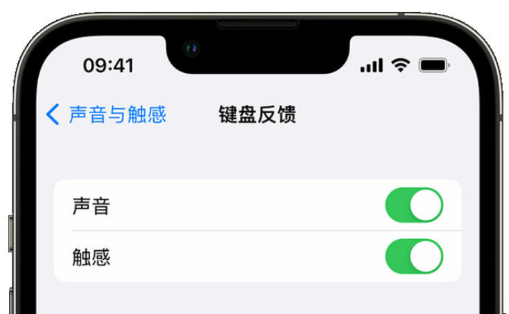 左云苹果手机维修分享iPhone 14触感键盘使用方法 