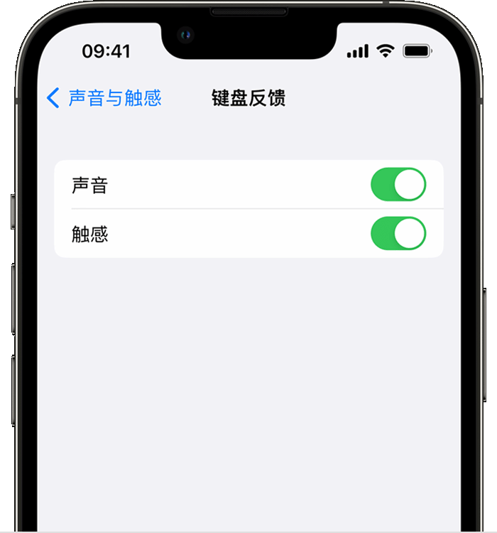 左云苹果14维修店分享如何在 iPhone 14 机型中使用触感键盘 