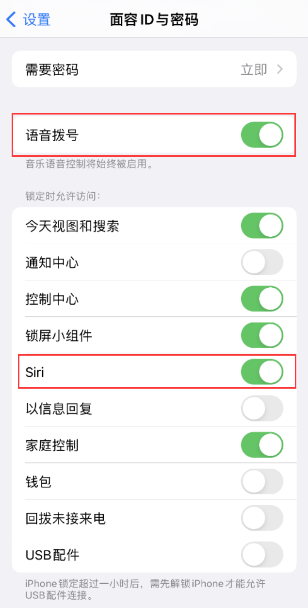 左云苹果维修网点分享不解锁 iPhone 的情况下通过 Siri 拨打电话的方法 