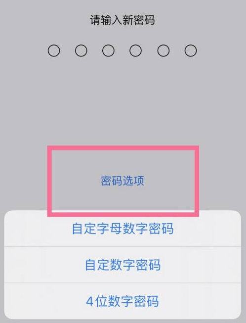 左云苹果14维修分享iPhone 14plus设置密码的方法 