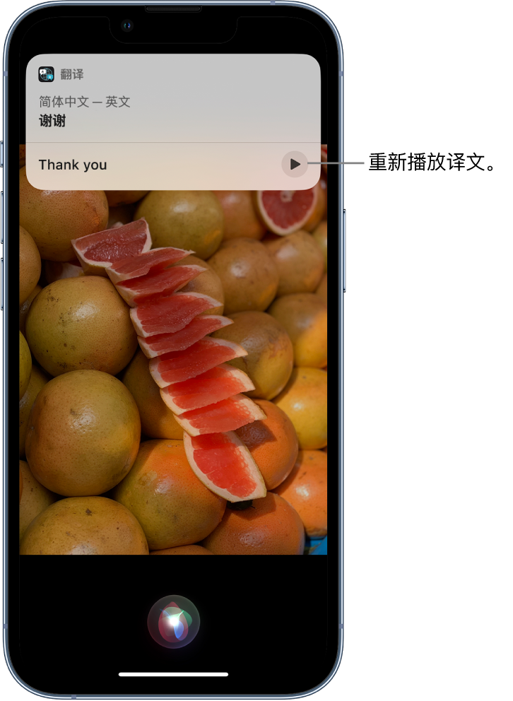 左云苹果14维修分享 iPhone 14 机型中使用 Siri：了解 Siri 能帮你做什么 