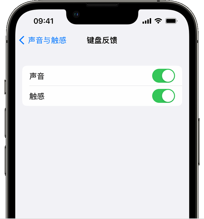 左云苹果14维修分享iPhone 14 系列机型如何开启键盘声音或触感反馈 