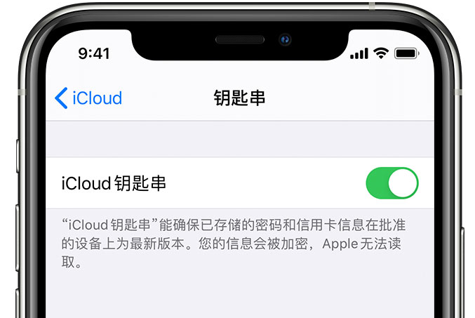 左云苹果手机维修分享在 iPhone 上开启 iCloud 钥匙串之后会储存哪些信息 