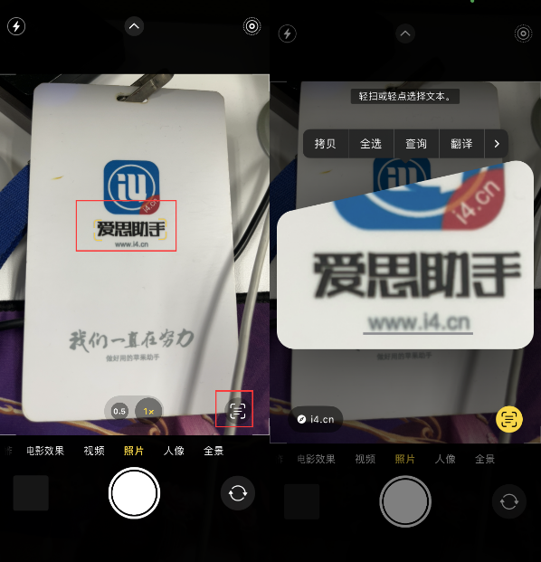 左云苹果手机维修分享升级iOS 16后如何通过相机翻译文本 