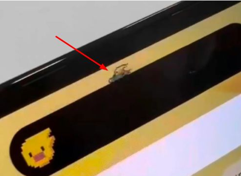 左云苹果14维修分享iPhone 14 Pro Max灵动岛怎么养宠物 