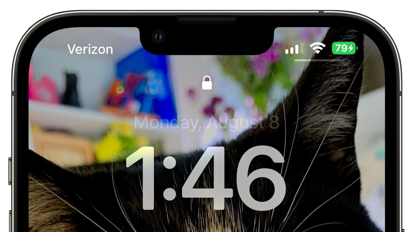 左云苹果手机维修分享iOS 16 beta 5 支持状态栏显示电池百分比，如何开启？支持哪些机型 