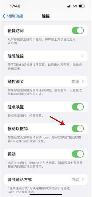 左云苹果手机维修分享iPhone手机如何设置摇一摇删除文字 