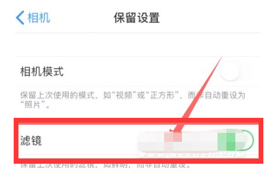 左云苹果13维修分享iPhone13拍照有绿点是怎么回事 