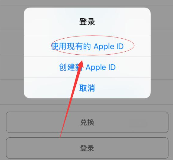 左云苹果手机维修分享两台iPhone设备可以同时登录一个Apple ID吗 