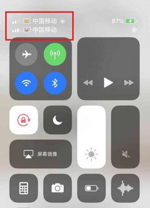 左云苹果手机维修分享为 iPhone 12 双卡设置标签 