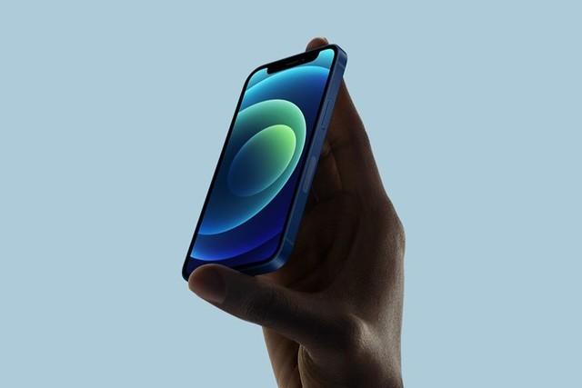 左云苹果手机维修分享iPhone 12 mini辐射很大吗 